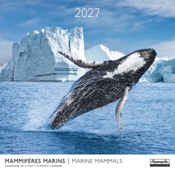 Calendrier 2027 Pictura - Mammifères marins - 30 x 30 cm