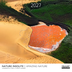 Calendrier 2027  Pictura - Nature insolite - 30 x 30 cm