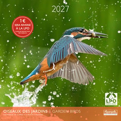 Calendrier 2027 Pictura - Oiseaux des jardins - Partenariat LPO - 30 x 30 cm