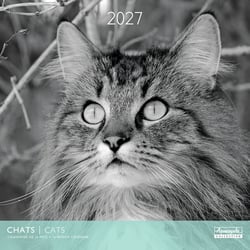Calendrier 2027 Pictura - Chats N&B - 30 x 30 cm