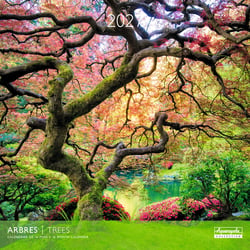 Calendrier 2027 Pictura - Arbres - 30 x 30 cm