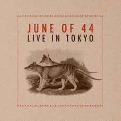 Live In Tokyo