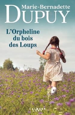 La saga des bories Tome 1 : L'Orpheline du bois des Loups