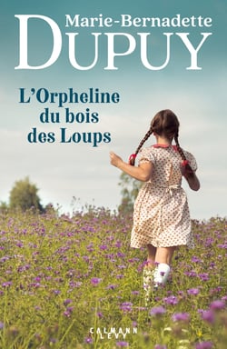 La saga des bories Tome 1 : L'Orpheline du bois des Loups