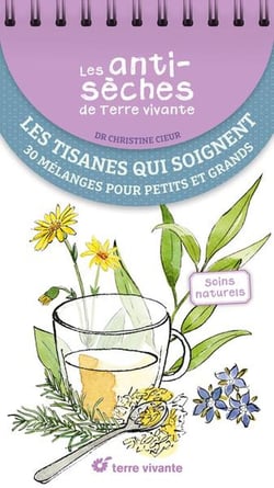 Les antisèches de Terre vivante : Les tisanes qui soignent : 30 mélanges pour petits et grands