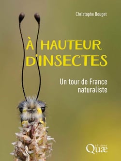 À hauteur d'insectes : Un tour de France naturaliste