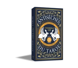 Antisèches du Tarot : Avec 5 fiches inédites !