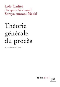 Théorie générale du procès