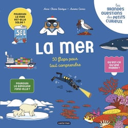 Les grandes questions des petits curieux : 50 flaps pour tout comprendre : La mer