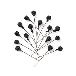 Baies décoratives – Noir