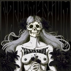 Assassins - Black Meddle Pt. I