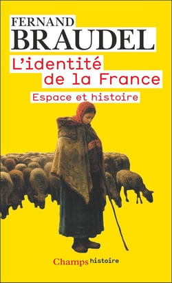 L'identité de la france Tome 1 : Espace et histoire