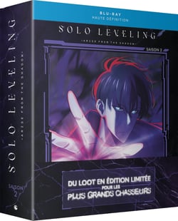 Solo Leveling - Saison 2