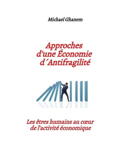 Approches d'une  Économie d'  antifragilité : Les êtres humains au coeur de l'activité économique