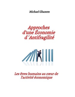 Approches d'une  Économie d'  antifragilité : Les êtres humains au coeur de l'activité économique