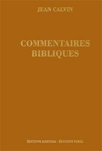 Épître aux Hébreux. Commentaires bibliques : Commentaires bibliques