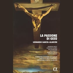 La Passione di Gesù, Overo il vangelo di guida