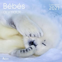 Calendrier Bébés animaux