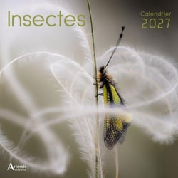 Calendrier Insectes (édition 2027)