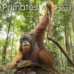 Calendrier Primates (édition 2027)