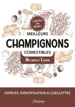 Cartes en main ! : Meilleurs champignons comestibles