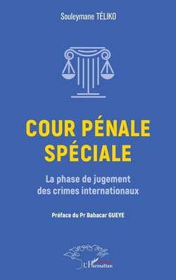 Cour pénale spéciale : La phase de jugement des crimes internationaux