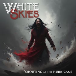 Shouting At The Hurricane