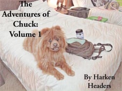 The Adventures of Chuck: Volume 1 - The Adventures of Chuck, #1