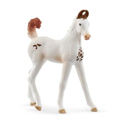 Horse club poulain marwari - Schleich