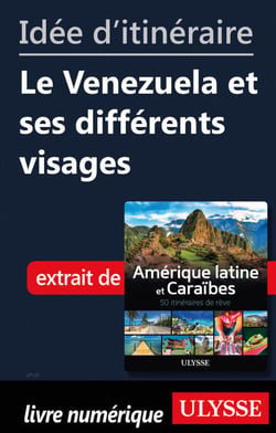 Id?e d'itin?raire - Le Venezuela et ses diff?rents visages