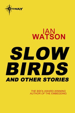 Slow Birds: And Other Stories - And Other Stories