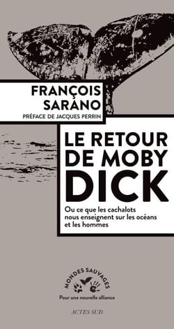 Le retour de Moby Dick - ou ce que les cachalots nous enseignent sur les océans et les hommes