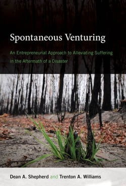 Spontaneous Venturing - An Entrepreneurial Approach to Alleviating Suffering in the Aftermath of a Disaster