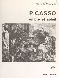 Picasso - Ombre et soleil