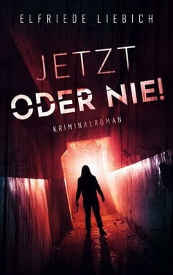 Jetzt oder nie! - Kriminalroman