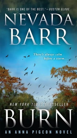 Burn (Anna Pigeon Mysteries, Book 16) - A spellbinding mystery of New Orleans