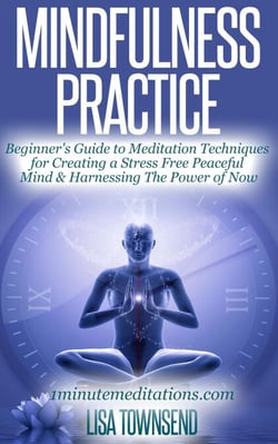 Mindfulness Practice: Beginner's Guide to Meditation Techniques for Creating a Stress Free Peaceful Mind &amp; Harnessing The Power of Now - Meditation Series