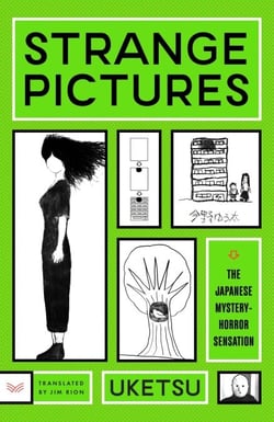 Strange Pictures - A Novel