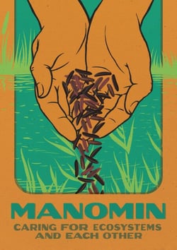 Manomin - Caring for Ecosystems and Each Other