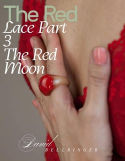 The Red Lace - Part 3 - The Red Moon - The Red, #7