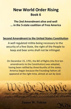 New World Order Rising, Book 6 (The 2nd Amendment Alive and Well in the 5-state Coalition of Free America) - New World Order Rising (Book 1) The Abduction, #6