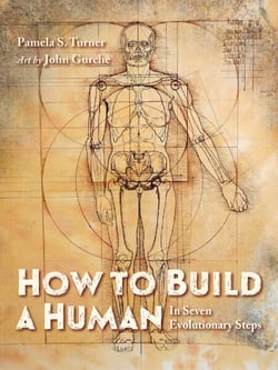 How to Build a Human - In Seven Evolutionary Steps