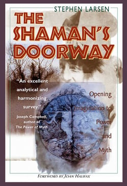 The Shaman's Doorway - Opening Imagination to Power and Myth