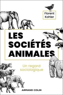 Sociétés animales - Un regard sociologique