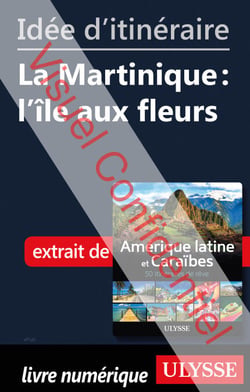 Id?e d'itin?raire - La Martinique : l'?le aux fleurs