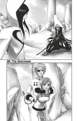 Bleach - T33 - Chapitre 289 - The Scarmask