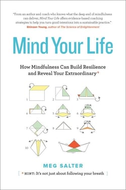 Mind Your Life: How Mindfulness Can Build Resilience and Reveal Your Extraordinary