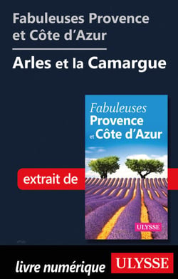 Fabuleuses Provence et Côte d'Azur: Arles et la Camargue