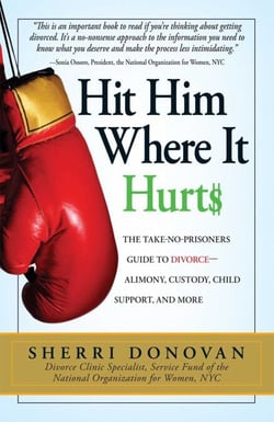 Hit Him Where It Hurts - The Take-No-Prisoners Guide to Divorce--Alimony, Custody, Child Support, and More