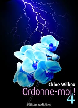 Ordonne-moi ! - vol. 4